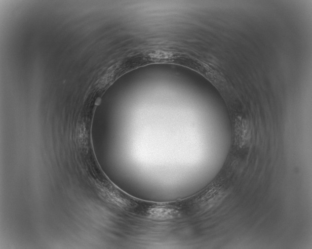 X0000060270614200510281233