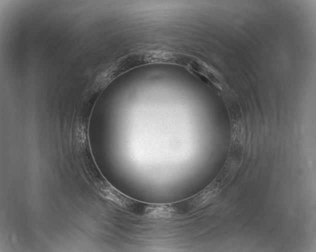X0000060270621200510281233