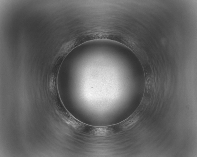 X0000060270623200510281233