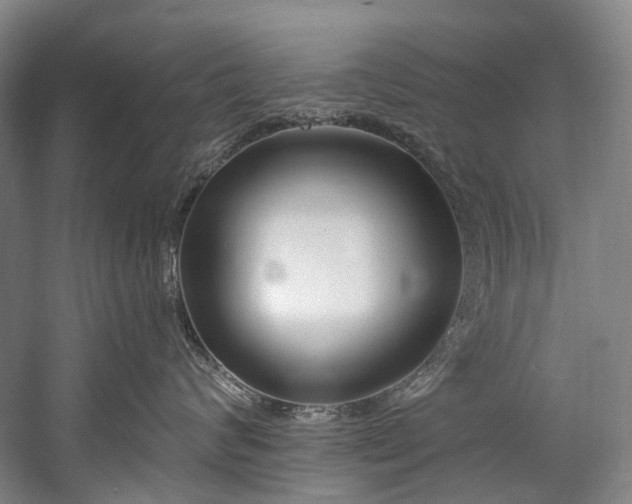 X0000060270624200510281233