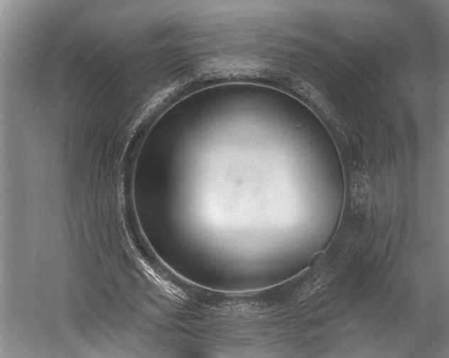 X0000060270629200510281232