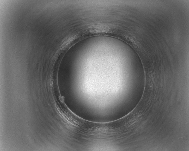 X0000060270631200510281232