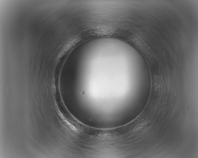 X0000060270634200510281232