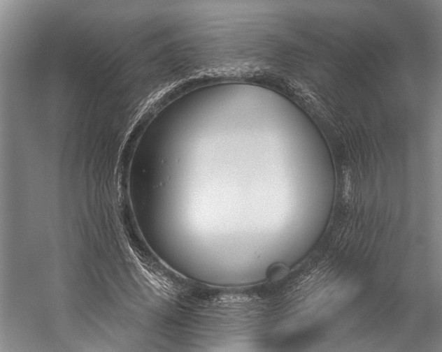 X0000060270636200510281232
