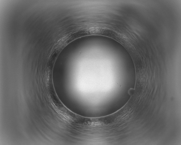 X0000060270645200510281233