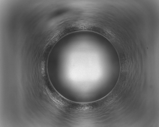 X0000060270646200510281233