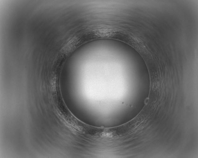 X0000060270647200510281233