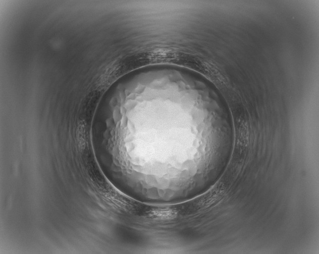 X0000060270659200510281233