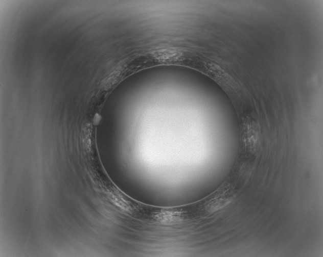 X0000060270664200510281233