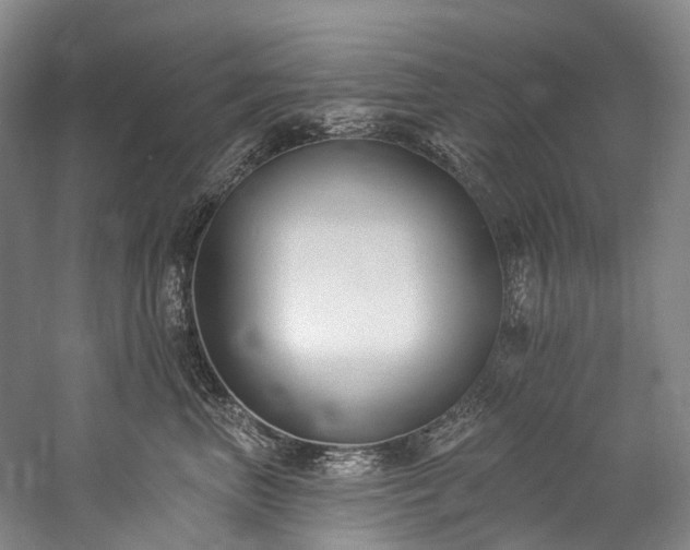 X0000060270667200510281233