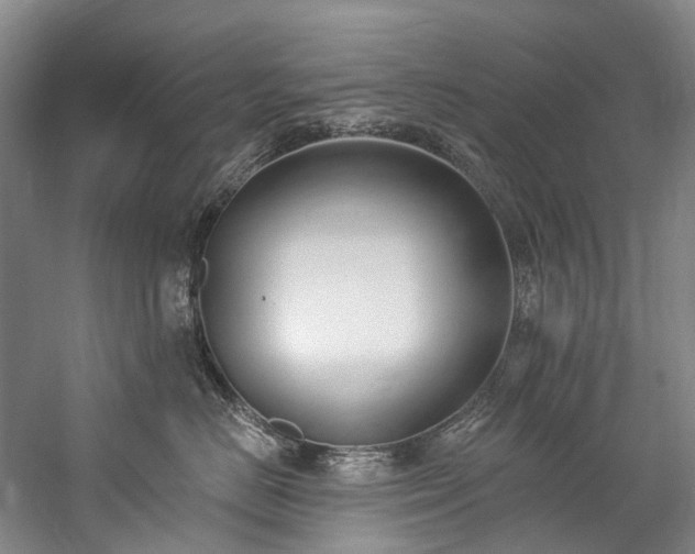 X0000060270670200510281233