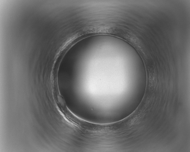 X0000060270674200510281232