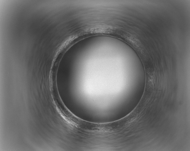 X0000060270678200510281232