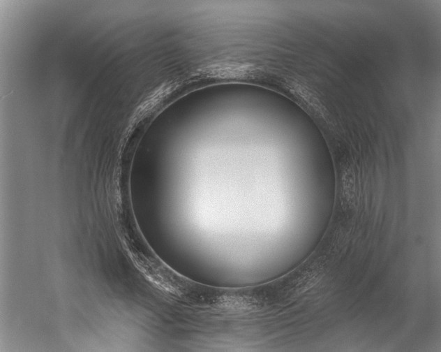 X0000060270682200510281232