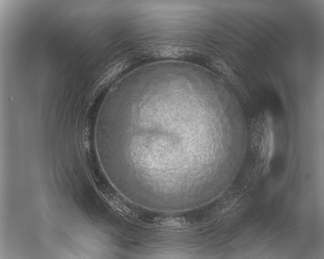 X0000060270683200510281232