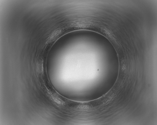 X0000060270685200510281232