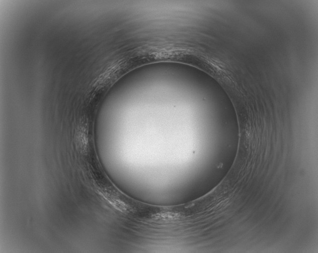 X0000060270691200510281232