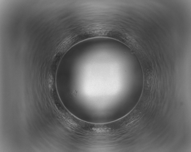 X0000060270693200510281232