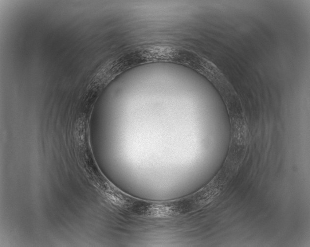 X0000060270701200510281232