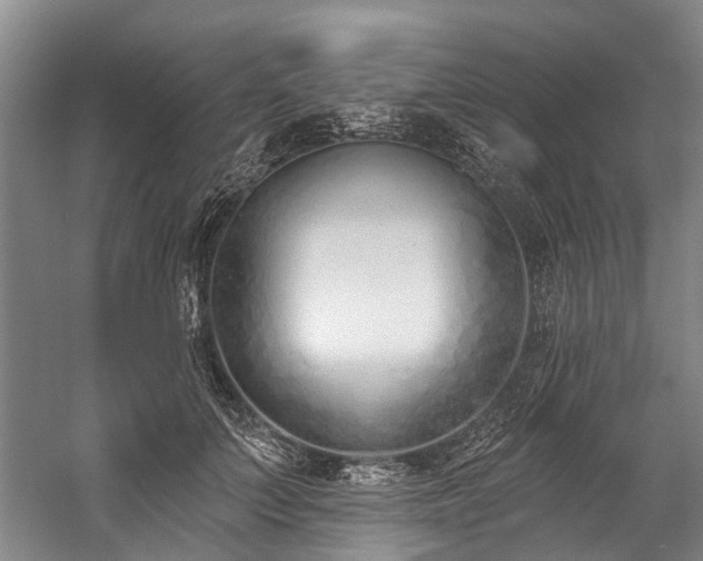 X0000060270703200510281232