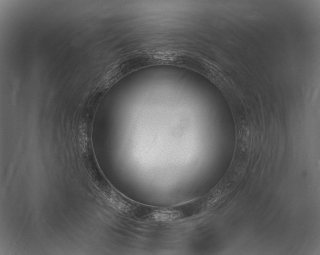 X0000060270707200510281232