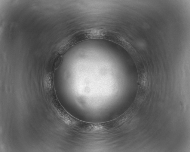 X0000060270715200510281232