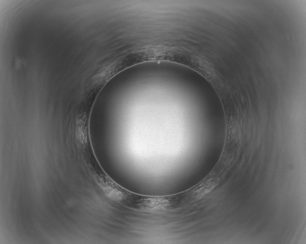 X0000060270719200510281231