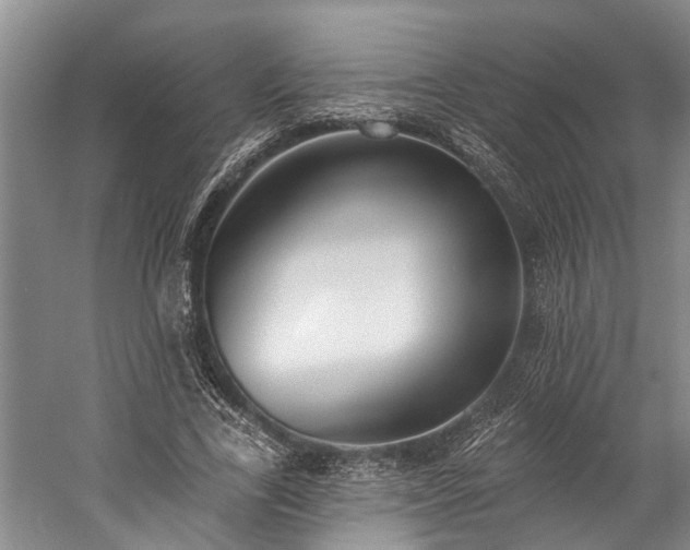 X0000060270731200510281231
