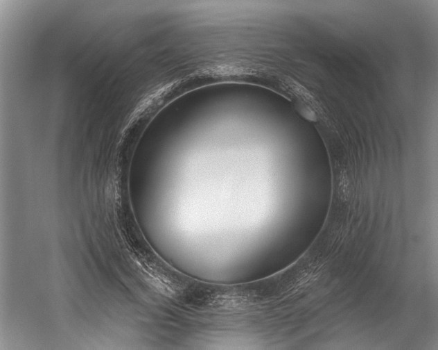 X0000060270732200510281231