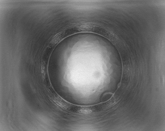 X0000060270749200510281231