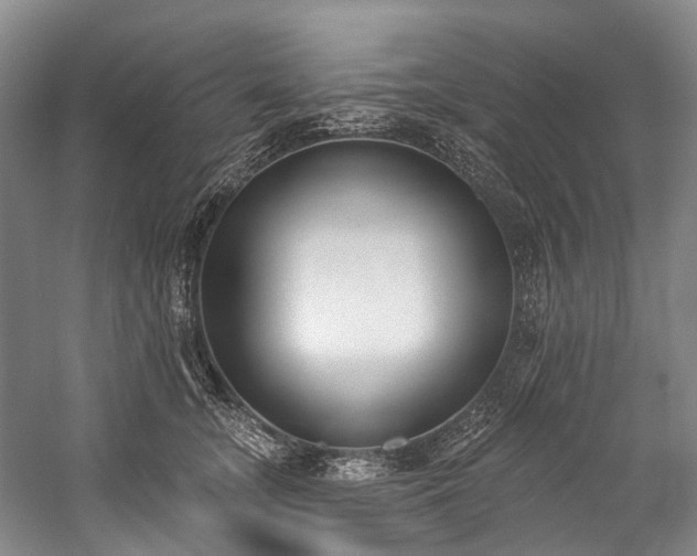 X0000060270755200510281231