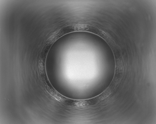 X0000060270761200510281231