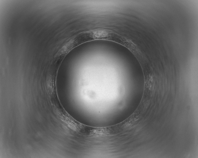 X0000060270763200510281231