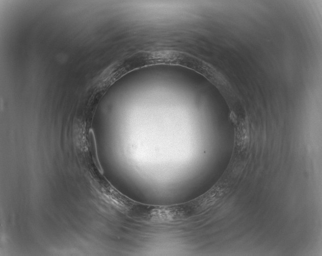 X0000060270764200510281231
