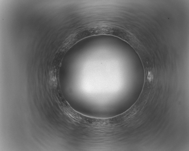 X0000060270771200510281231