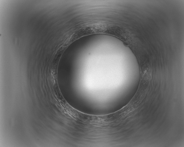 X0000060270772200510281231