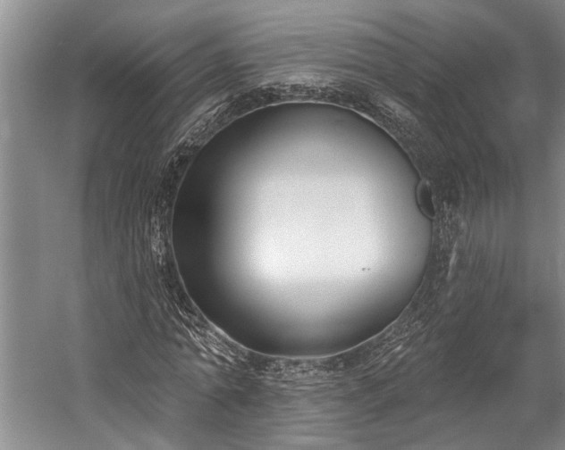 X0000060270774200510281230