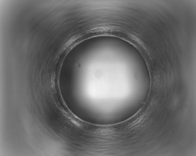 X0000060270778200510281230