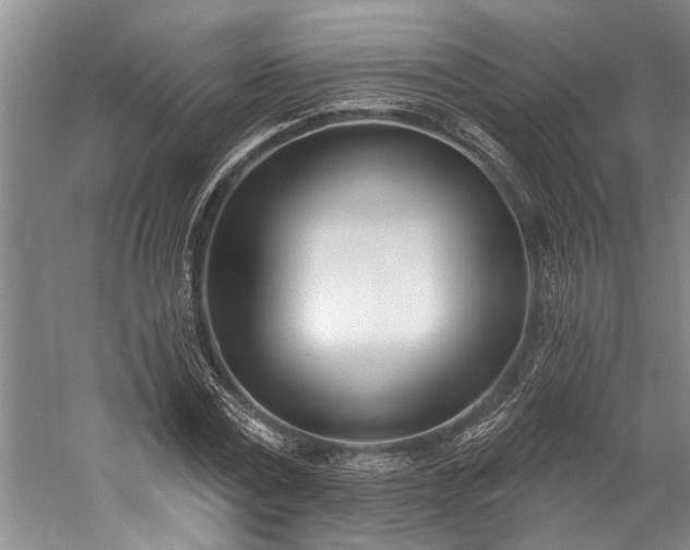 X0000060270779200510281230