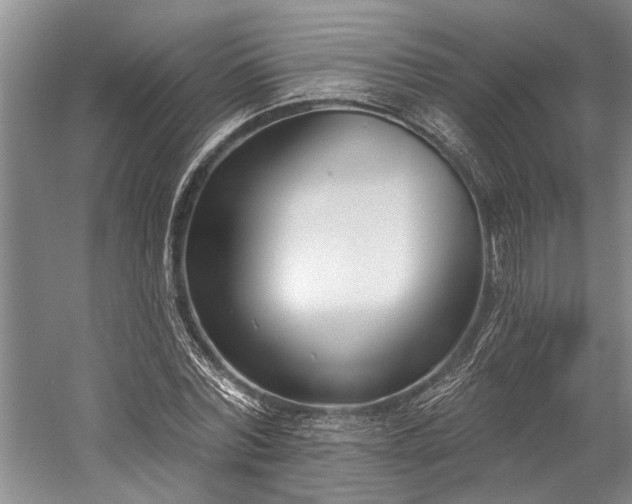 X0000060270780200510281230