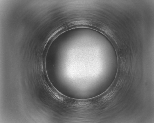 X0000060270782200510281230
