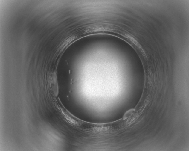 X0000060270793200510281230
