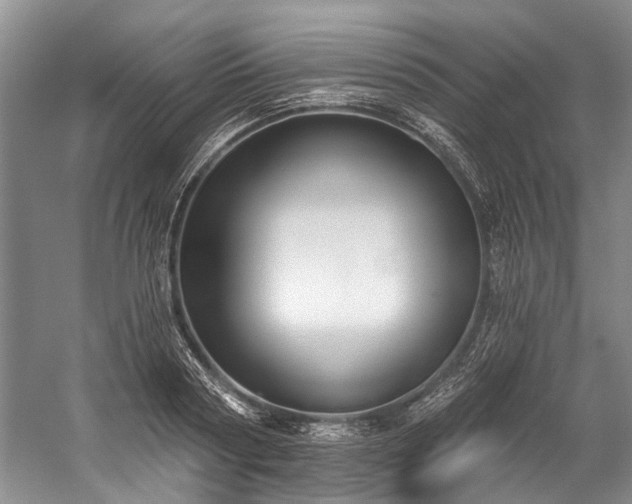 X0000060270794200510281230