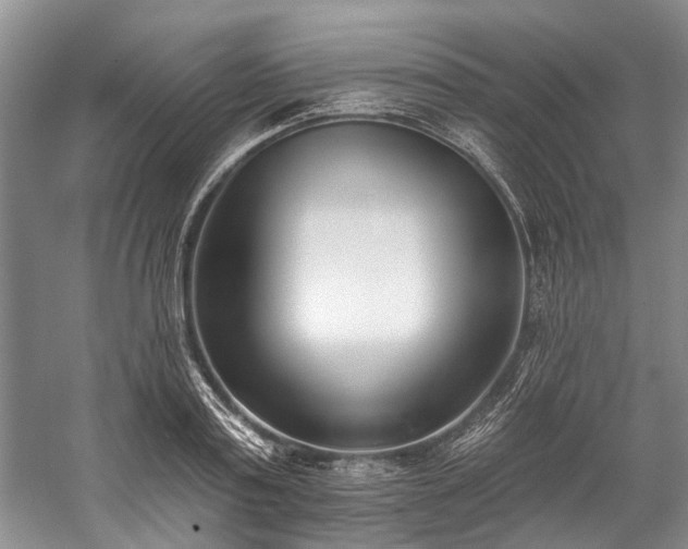 X0000060270795200510281230