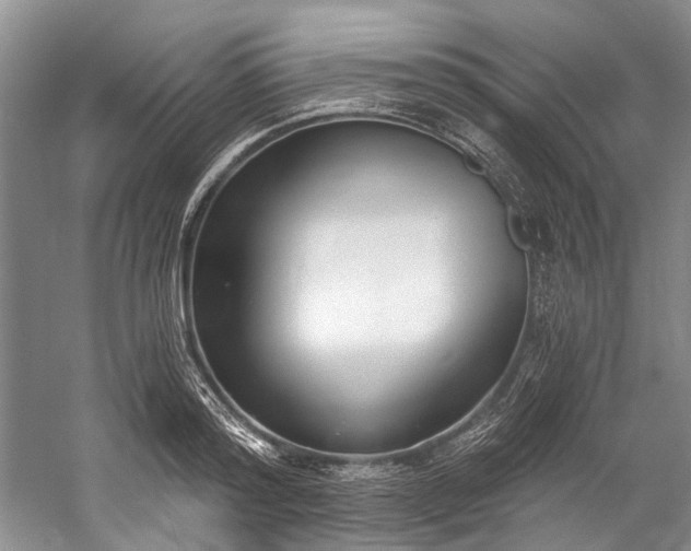 X0000060270796200510281230