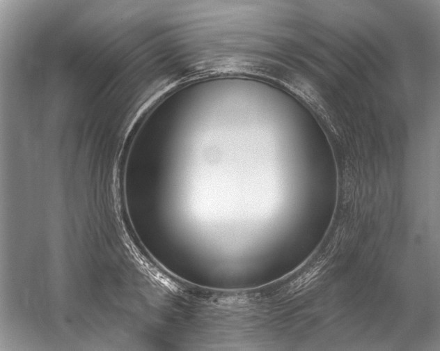 X0000060270798200510281230