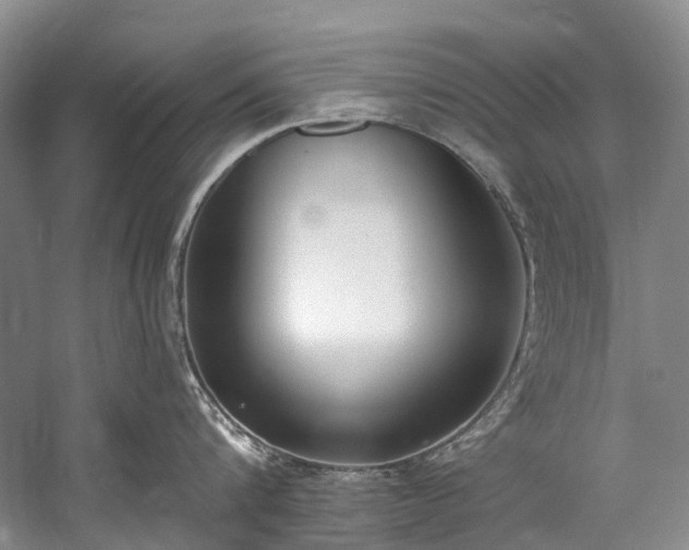 X0000060270816200510281230