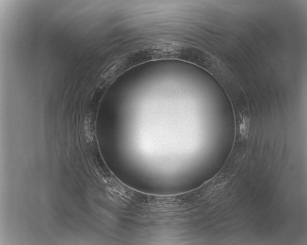 X0000060270819200510281229