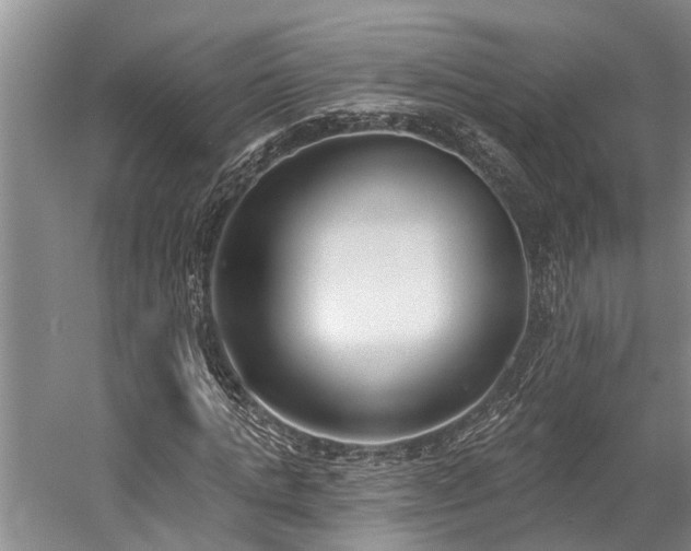 X0000060270821200510281229
