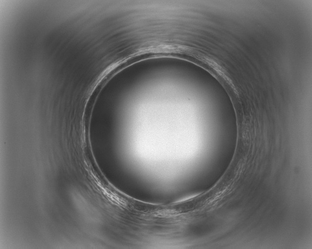 X0000060270837200510281229